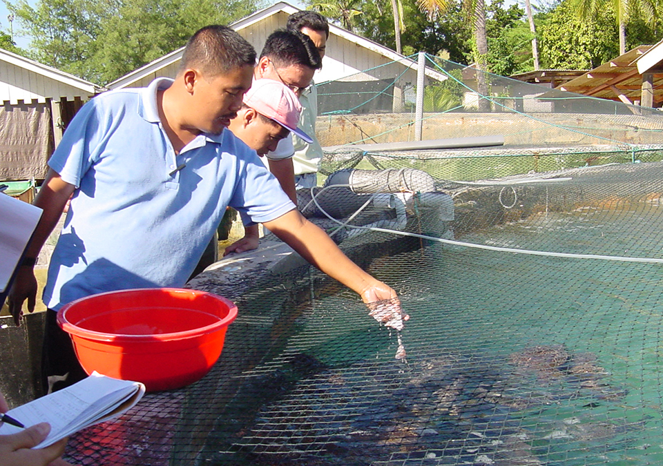 Cooperative efforts drive marine finfish aquaculture development in ...