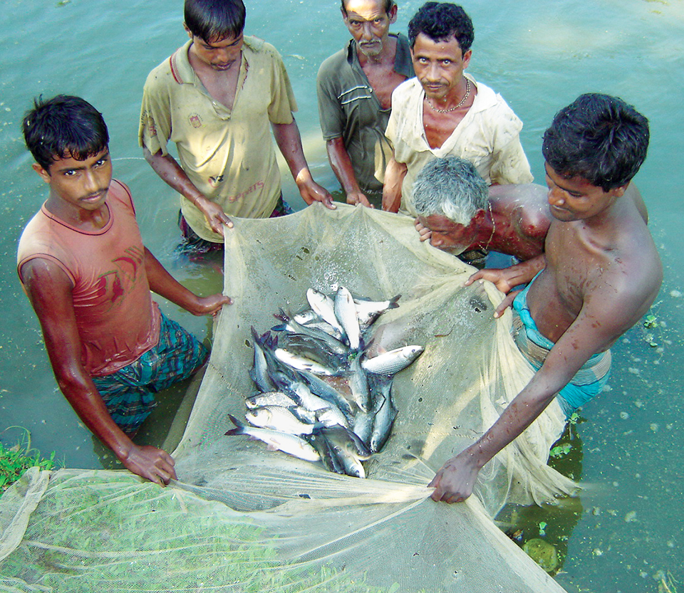  Milisten Sea ​​Fishing Shock Absorbing Belly Top