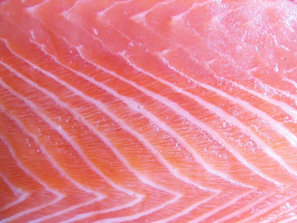 Quality Parameters In Farmed Atlantic Salmon Responsible Seafood Advocate 2215