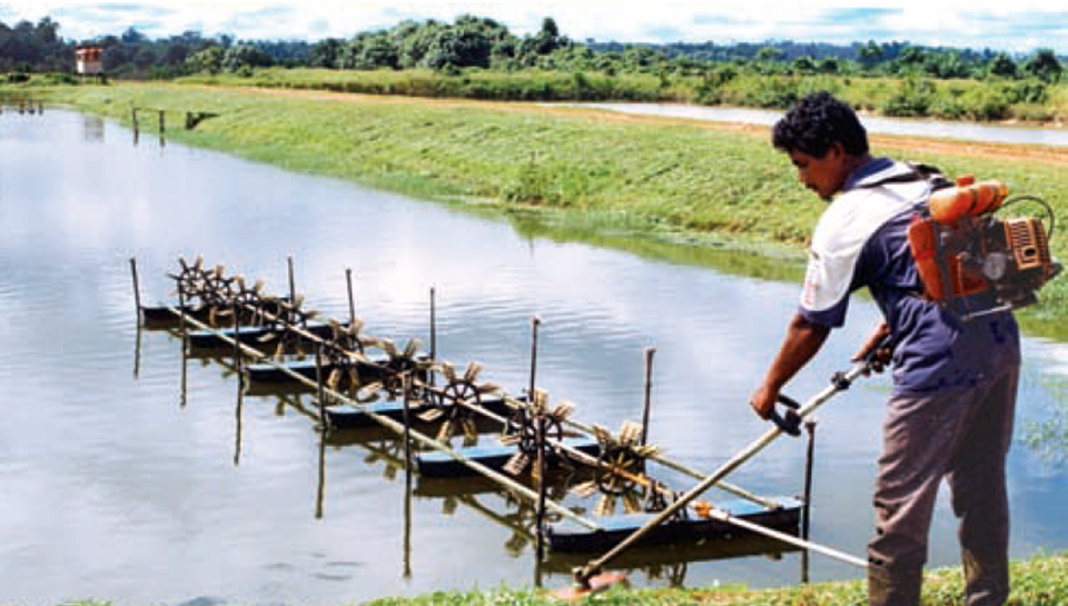 responsible-chemical-use-in-aquaculture-responsible-seafood-advocate