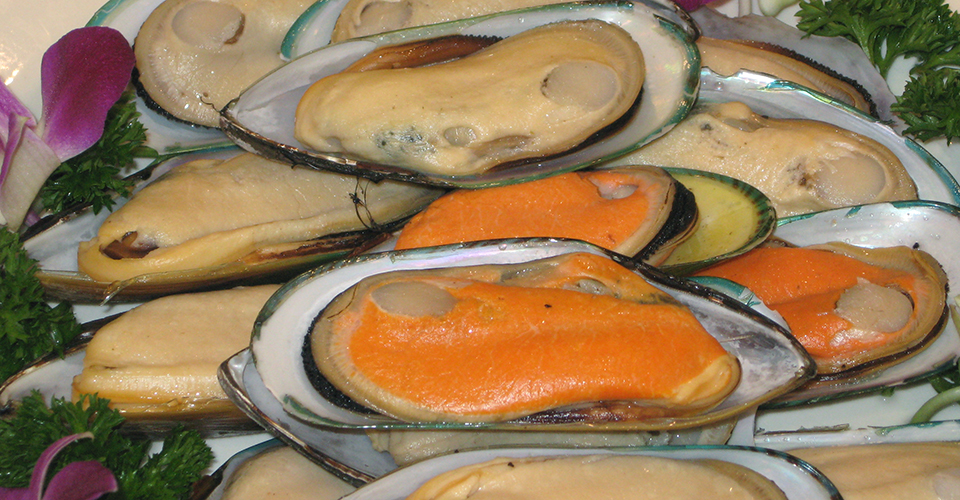 Article image for Taurine: Amino acid in seafood linked to reduced cardiovascular risk