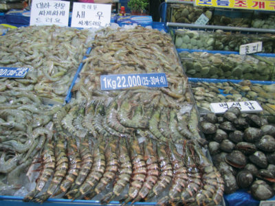 Seafood in Korea - Responsible Seafood Advocate