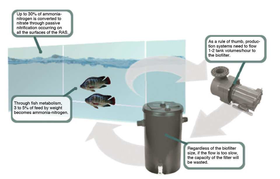 flow rate