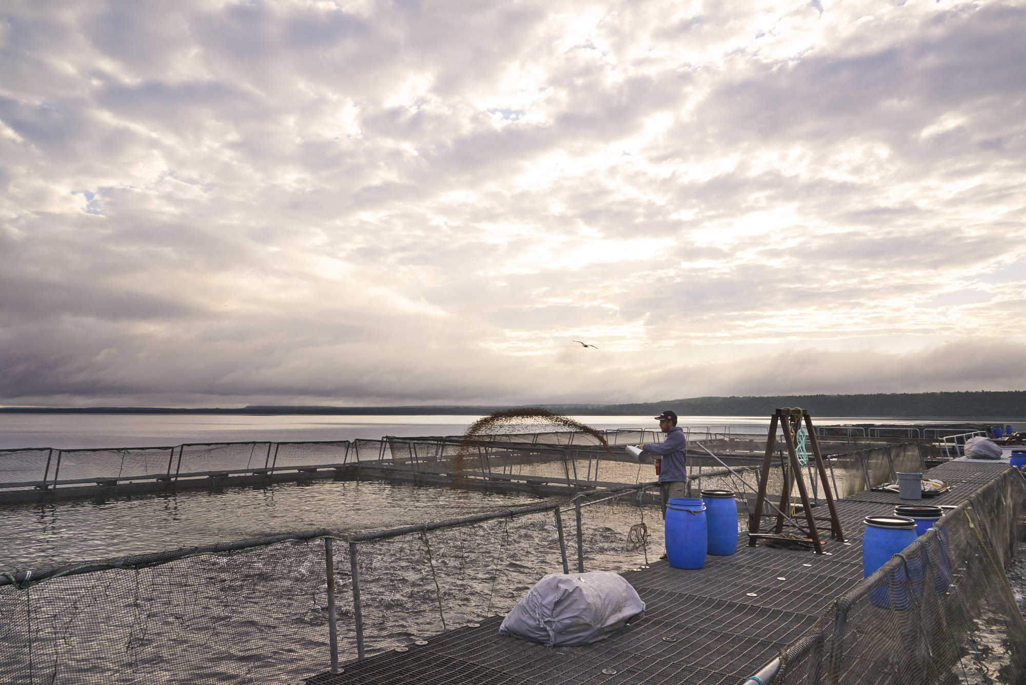 For Great Lakes aquaculture, it's a tale of two countries