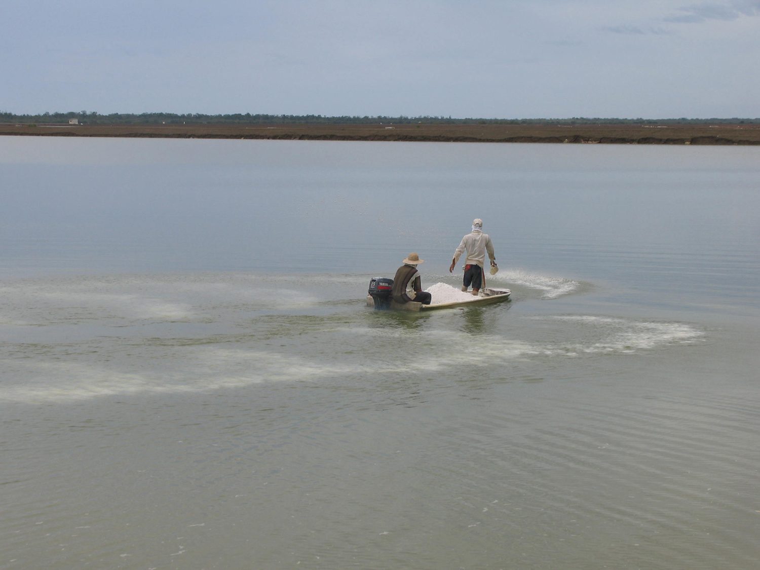 Lime plays crucial role in aquaculture pond management - Responsible  Seafood Advocate