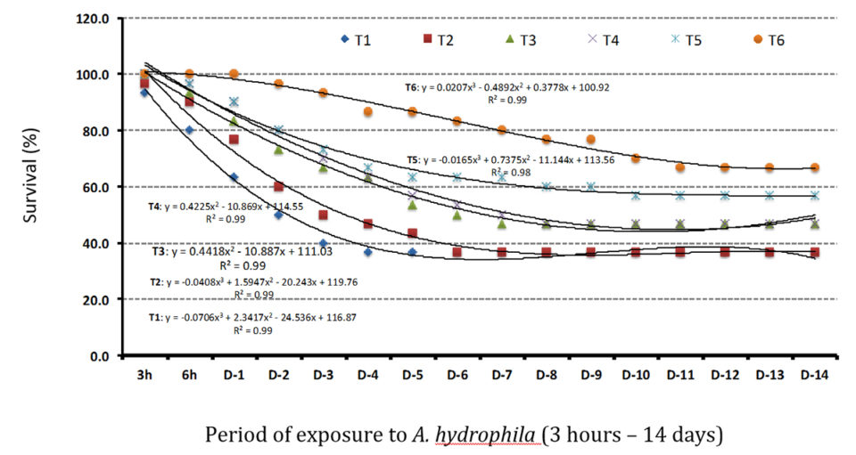 Fig. 2: Percent survival (Y-axis) of Nile tilapia over the period (3rd hour to day 14) after challenge with A. hydrophila.