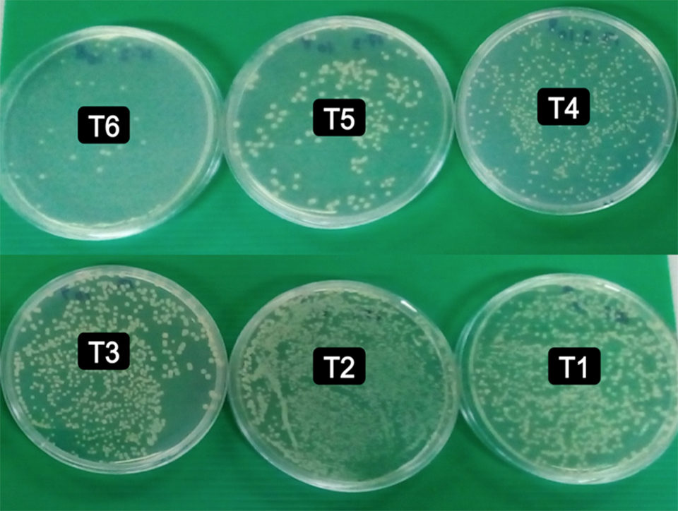 Fig. 5: Bacterial count sampled from the fish treated with varying doses of BTL.