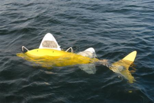 Shoal’s robotic fishes work collectively using AI to locate sources of pollution underwater. Photo courtesy of SHOAL Consortium.
