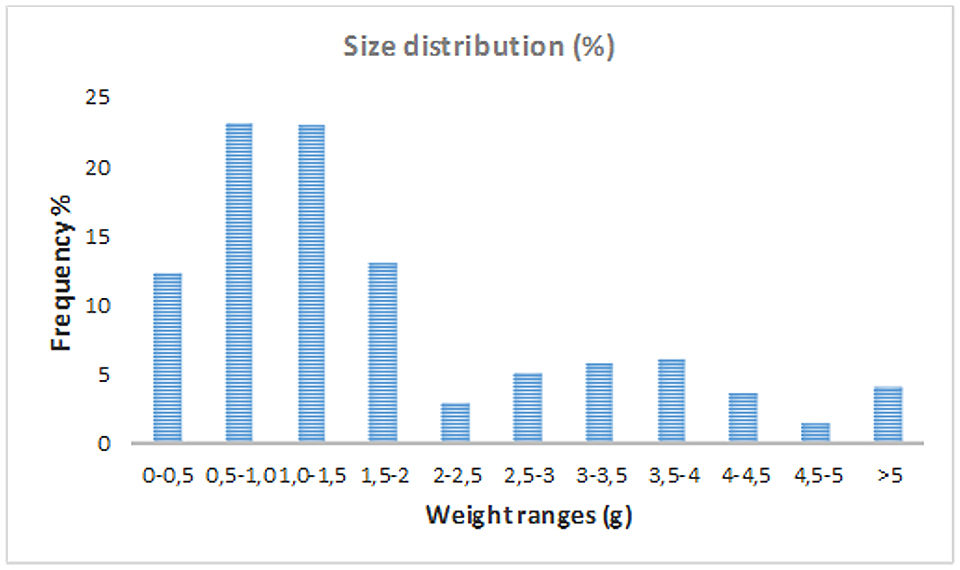 Fig. 1: Size distribution of the two prawn populations that developed in the study.