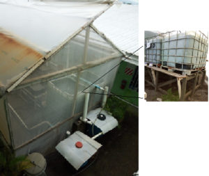 aquaponic system