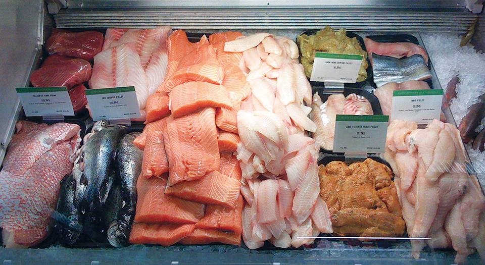 Article image for What are the drivers of seafood consumption?