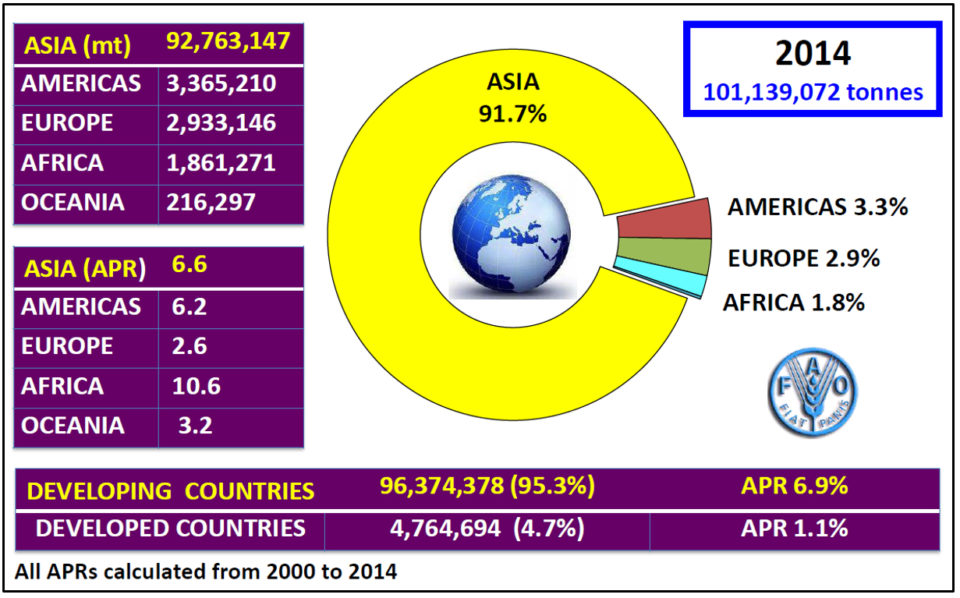 Total aquaculture production by region and economic class