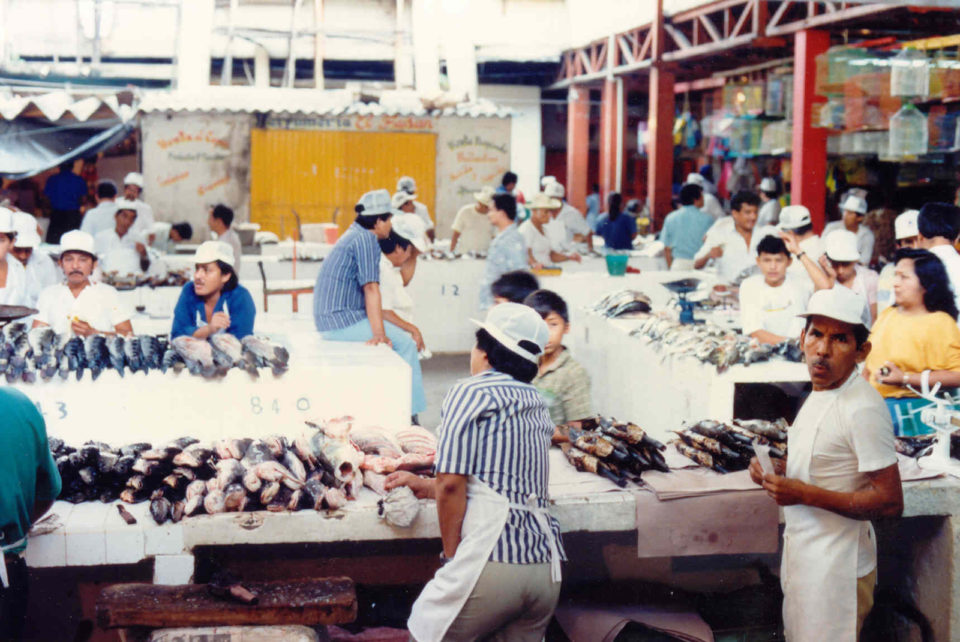 fish market