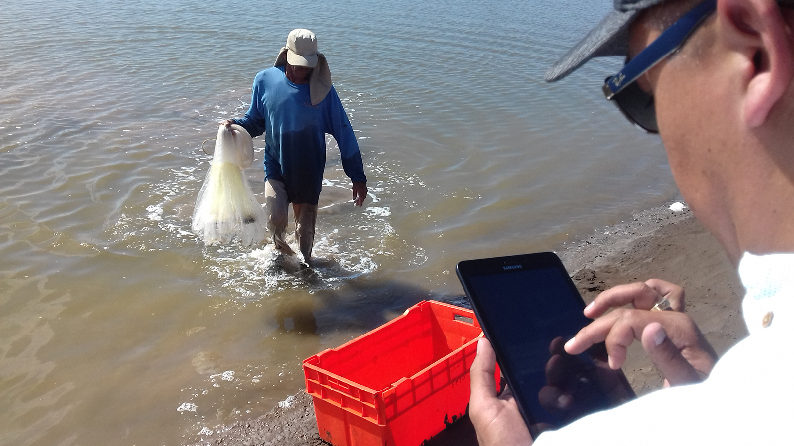 iQShrimp: Cloud-based, predictive software for shrimp farmers ...