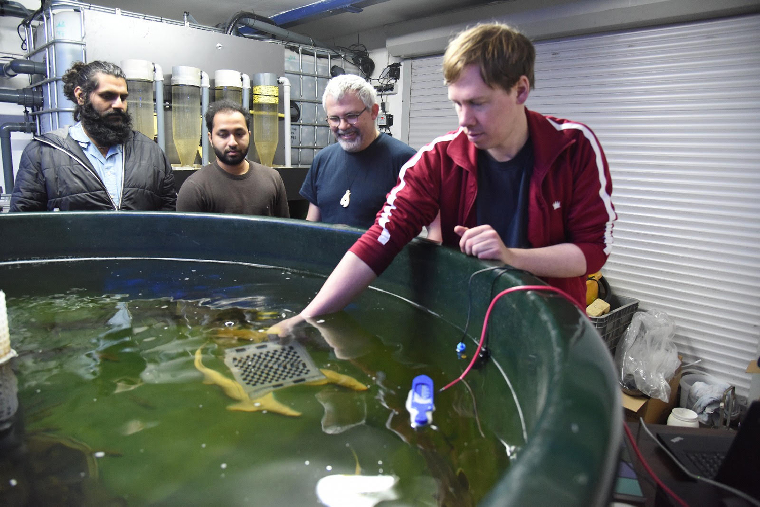 Fish farmers turn to drones for health, feed monitoring