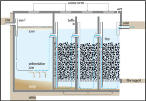 Treatment of shrimp hatchery effluents - Responsible Seafood Advocate