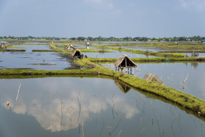 What Is the Environmental Impact of Aquaculture?