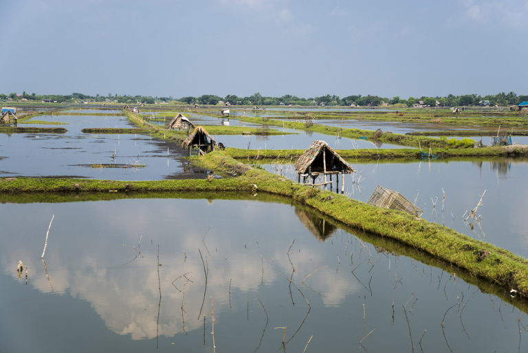 discuss a case study that demonstrates the impact of aquaculture