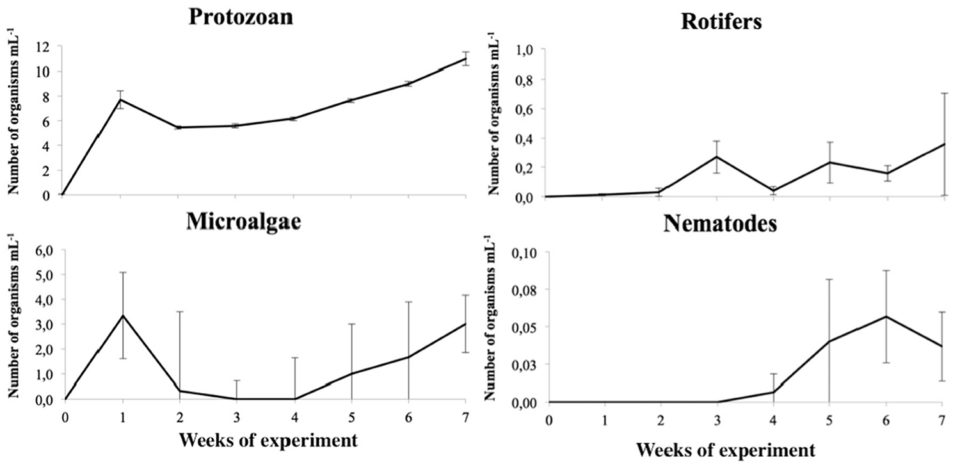 Fig. 1: Variation of planktonic community (protozoan, microalgae, rotifers and nematodes; means ± SD) before and after ﬁsh (piracanjuba) stocking in bioﬂoc culture system.