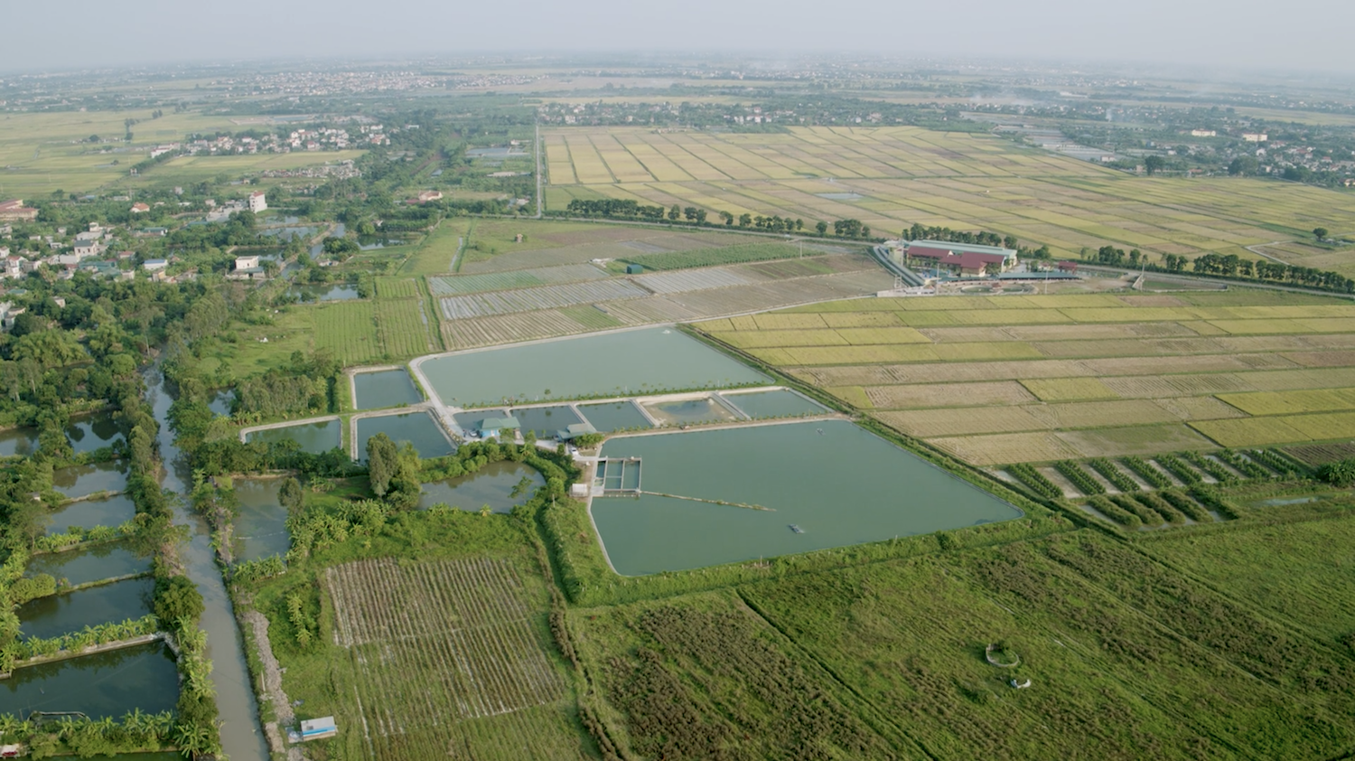 'Mimic the River' explores aquaculture's relationship with Mekong River