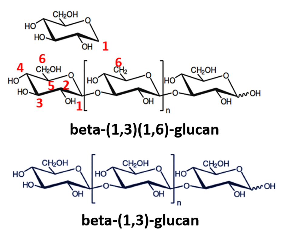 Beta glucans. Бета глюкана. Бета-глюканы что это такое. Бета глюкан формула. Структура бета глюкана.