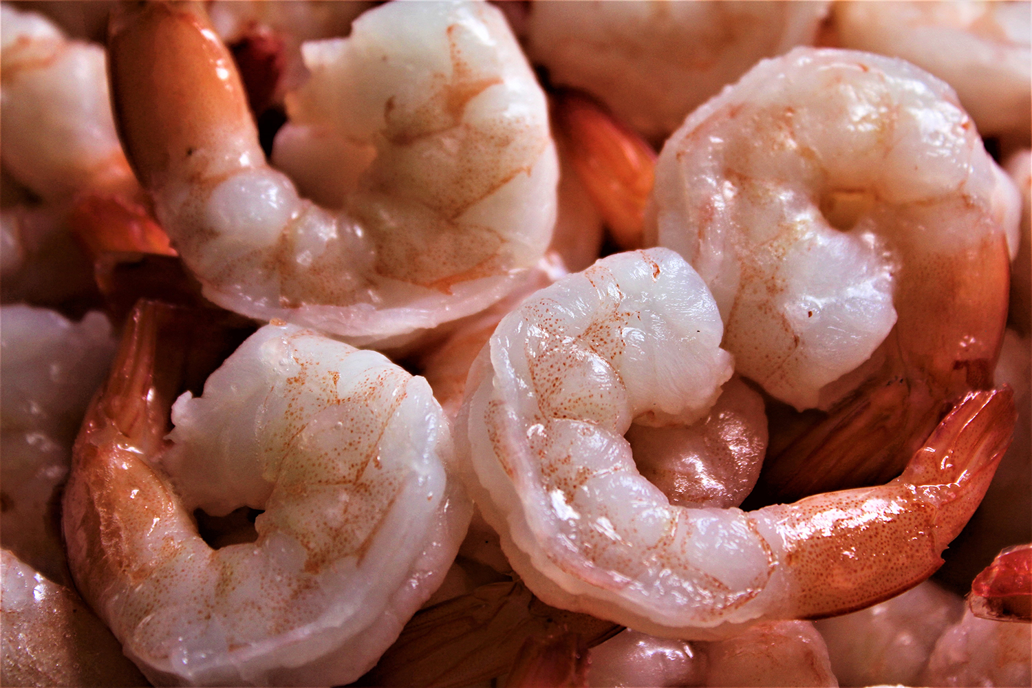 Evaluación del riesgo de transmisión en camarones cocidos infectados con  WSSV - Responsible Seafood Advocate