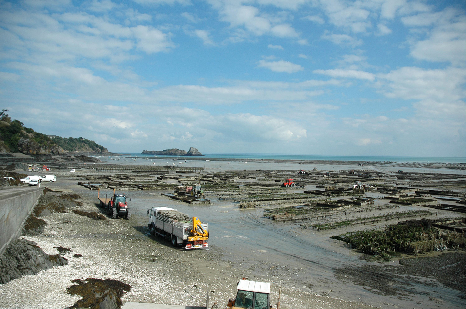 Identifying Global Opportunities For Shellfish Seaweed Aquaculture Responsible Seafood Advocate