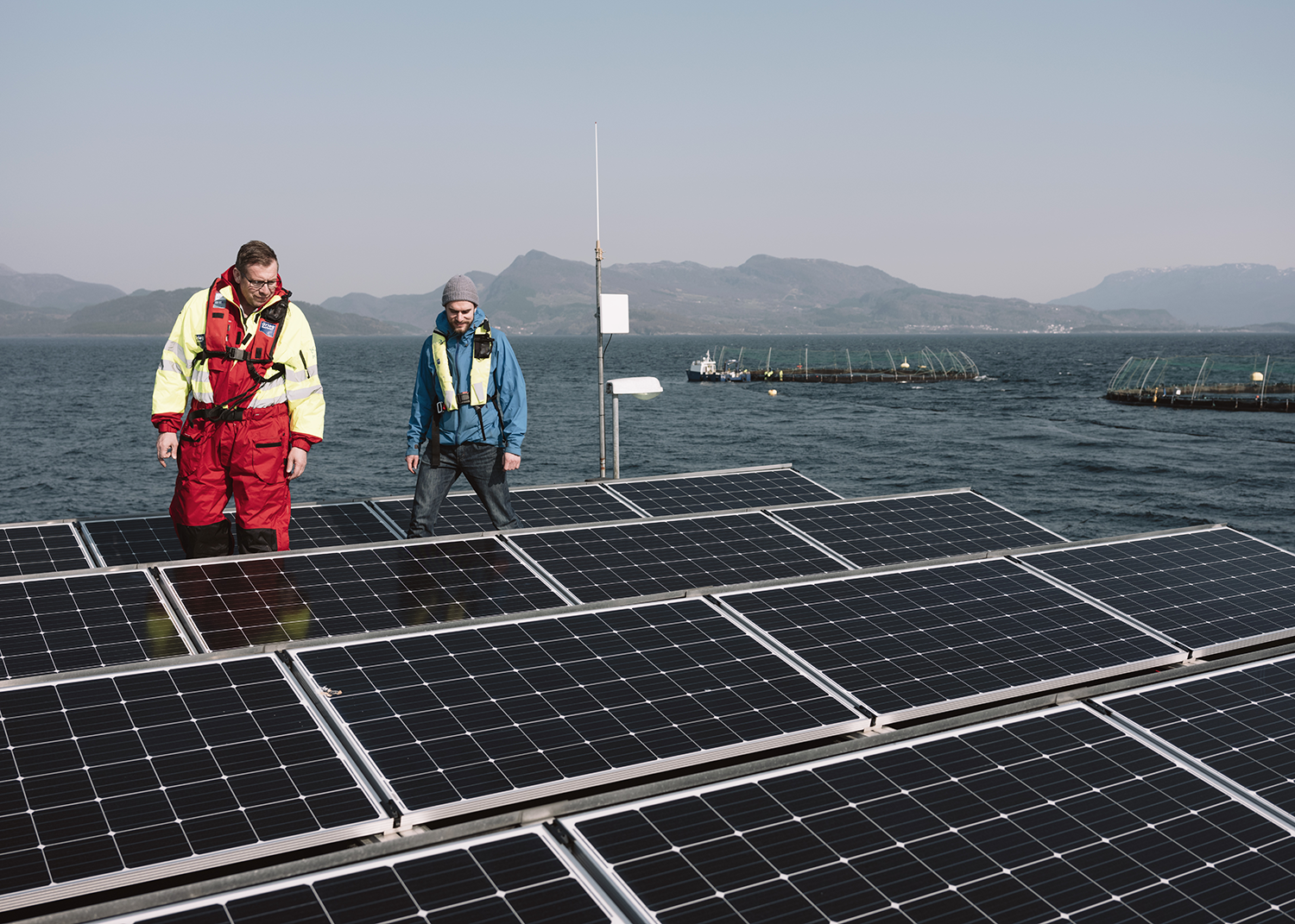 Renewable energy could transform offshore aquaculture, but what