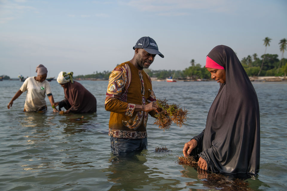 Peter Limbu, fisheries technical adviser, and Mondy Muhando, seaweed trainer