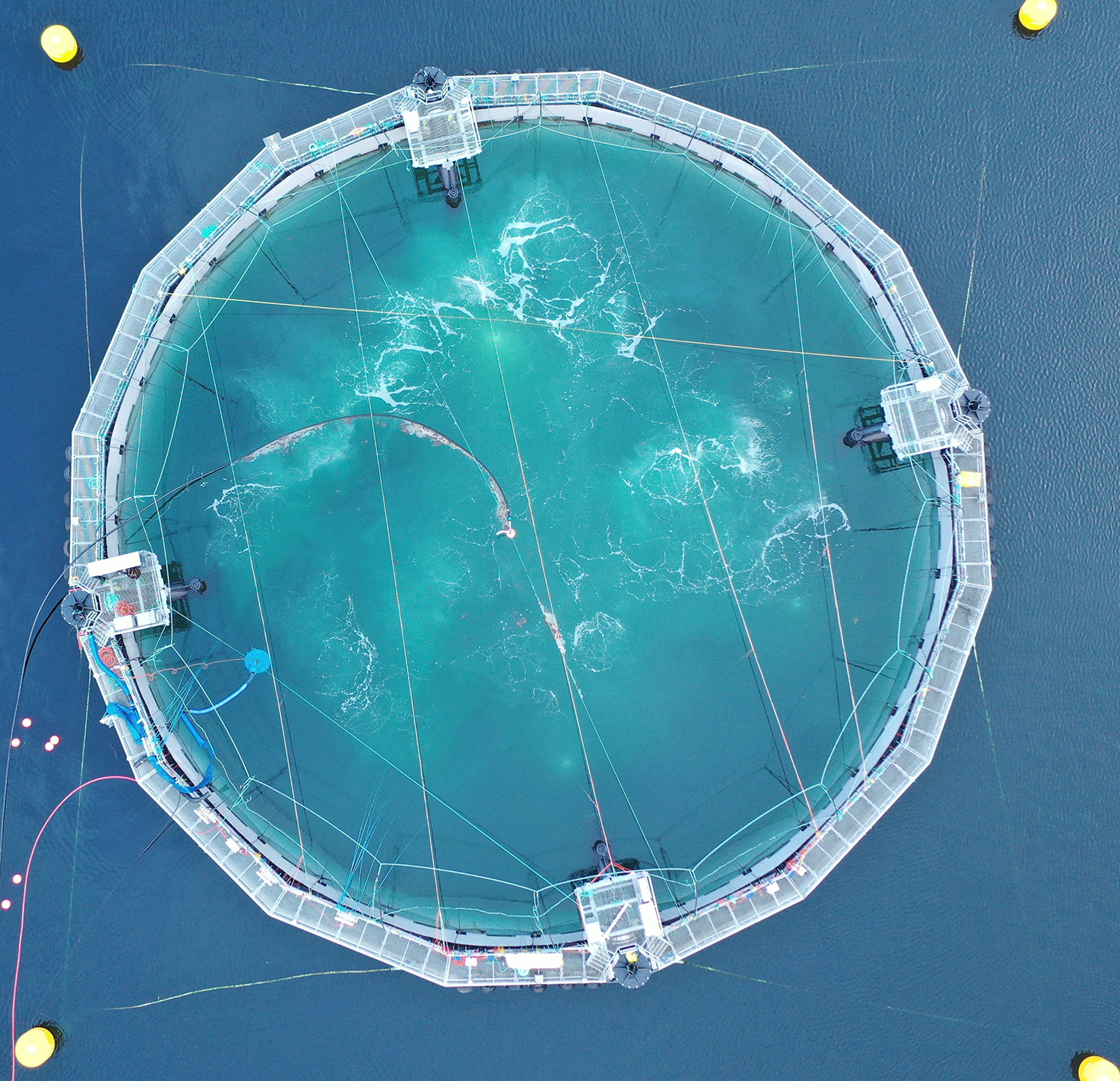 Floating Fish Containment Nets/Cages