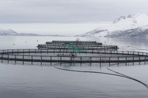 Precision aquaculture, part 1: Data and evidence-based management