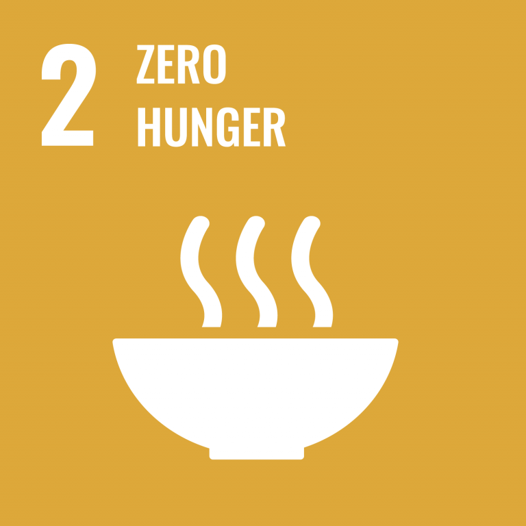 Infographic of SDG 2 - Zero Hunger