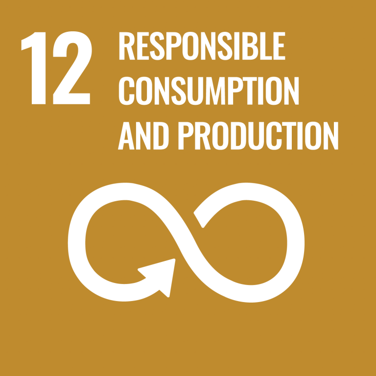Infographic of SDG 12 - Responsible Consumption and Production