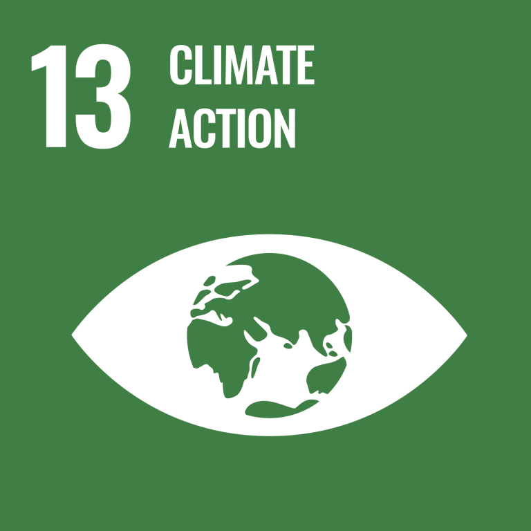 Infographic of SDG 13 - Climate Action