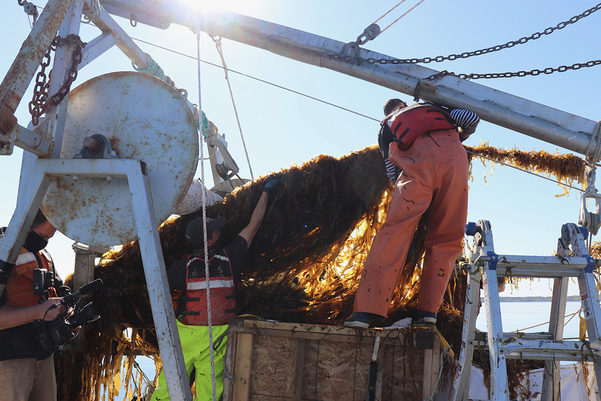 Maine Aquaculture Occupational Standards released - Responsible Seafood ...