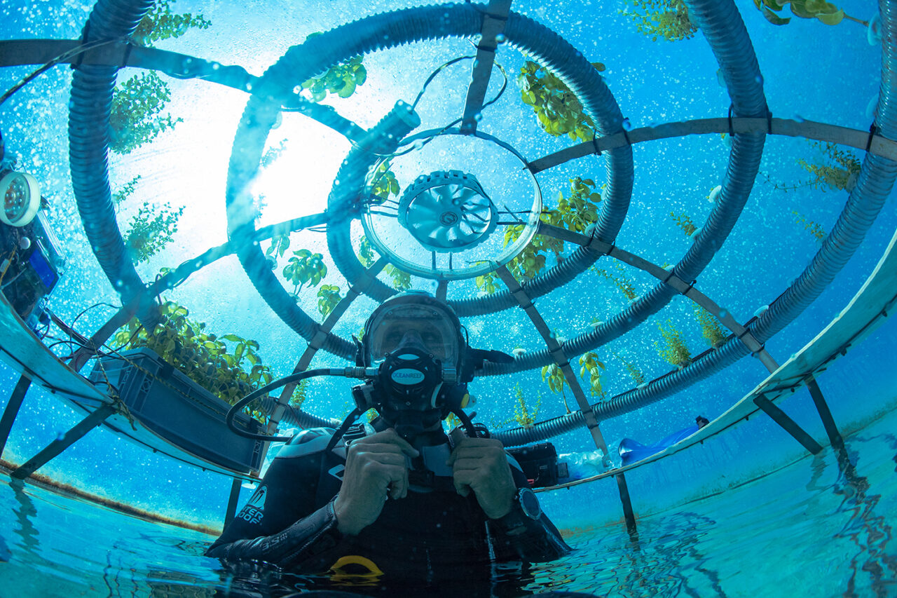 20-000-lettuces-under-the-sea-could-underwater-agriculture-be-the