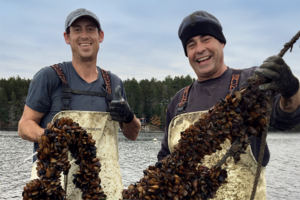 New 10-year roadmap for Maine aquaculture calls for $15 million in resources