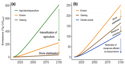 Modeling Future Carbon Emissions From Global Mangrove Forest Loss ...