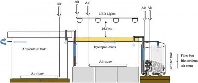 Assessing the stocking density ratio of Pacific white shrimp to three ...