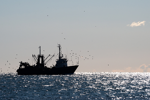 Article image for Tecnología, diligencia para asegurar cadenas de suministro de productos de mar libres de abusos
