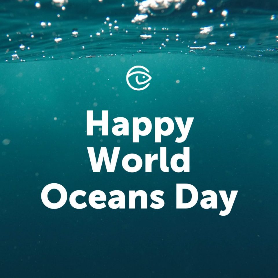 Celebrate World Oceans Month 2022 With GSA - Global Seafood Alliance