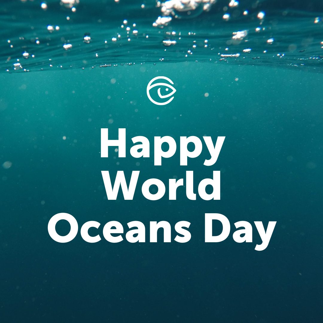 Celebrate World Oceans Month 2022 with GSA - Global Seafood Alliance