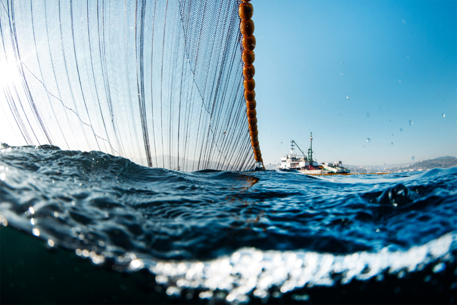 Why are Mediterranean Fisheries Failing, while Atlantic Fishing