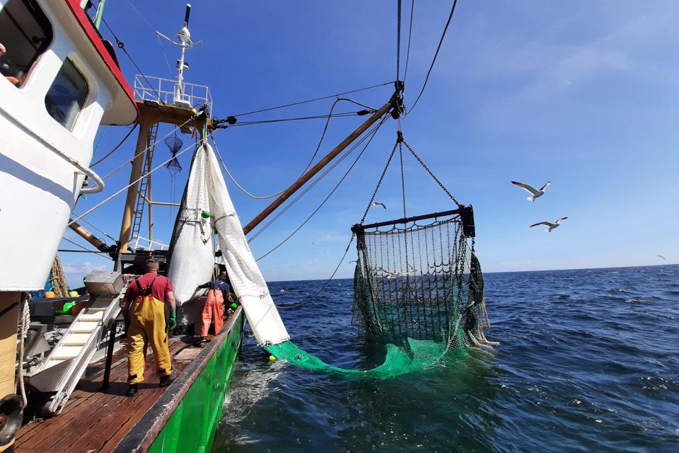 We were just looking for a way to fish better': How one partnership is  reinventing commercial fishing nets to reduce bycatch and improve animal  welfare - Responsible Seafood Advocate