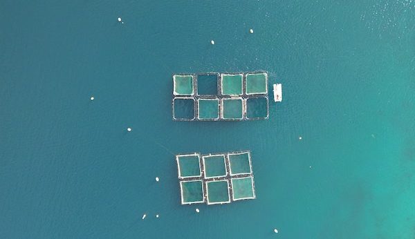 impact of aquaculture on environment