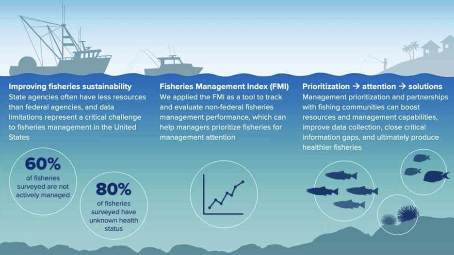 Fisheries In Focus: What Is The Fisheries Management Index And What ...