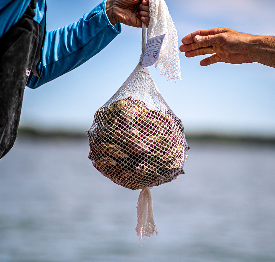 Brand new bag: Maine oyster farmers offer compostable bags made