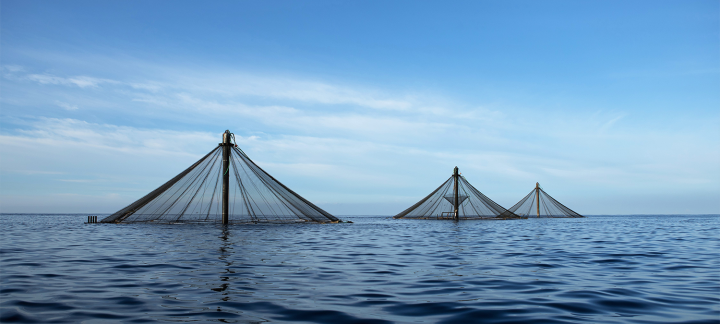 offshore aquaculture