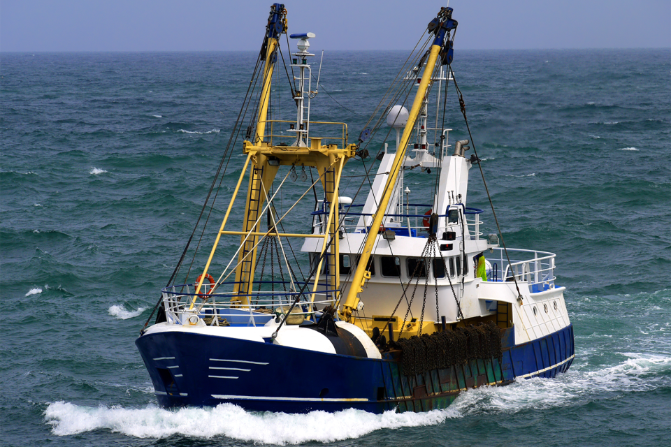 Fisheries in Focus: Busting misconceptions about bottom trawling and ...