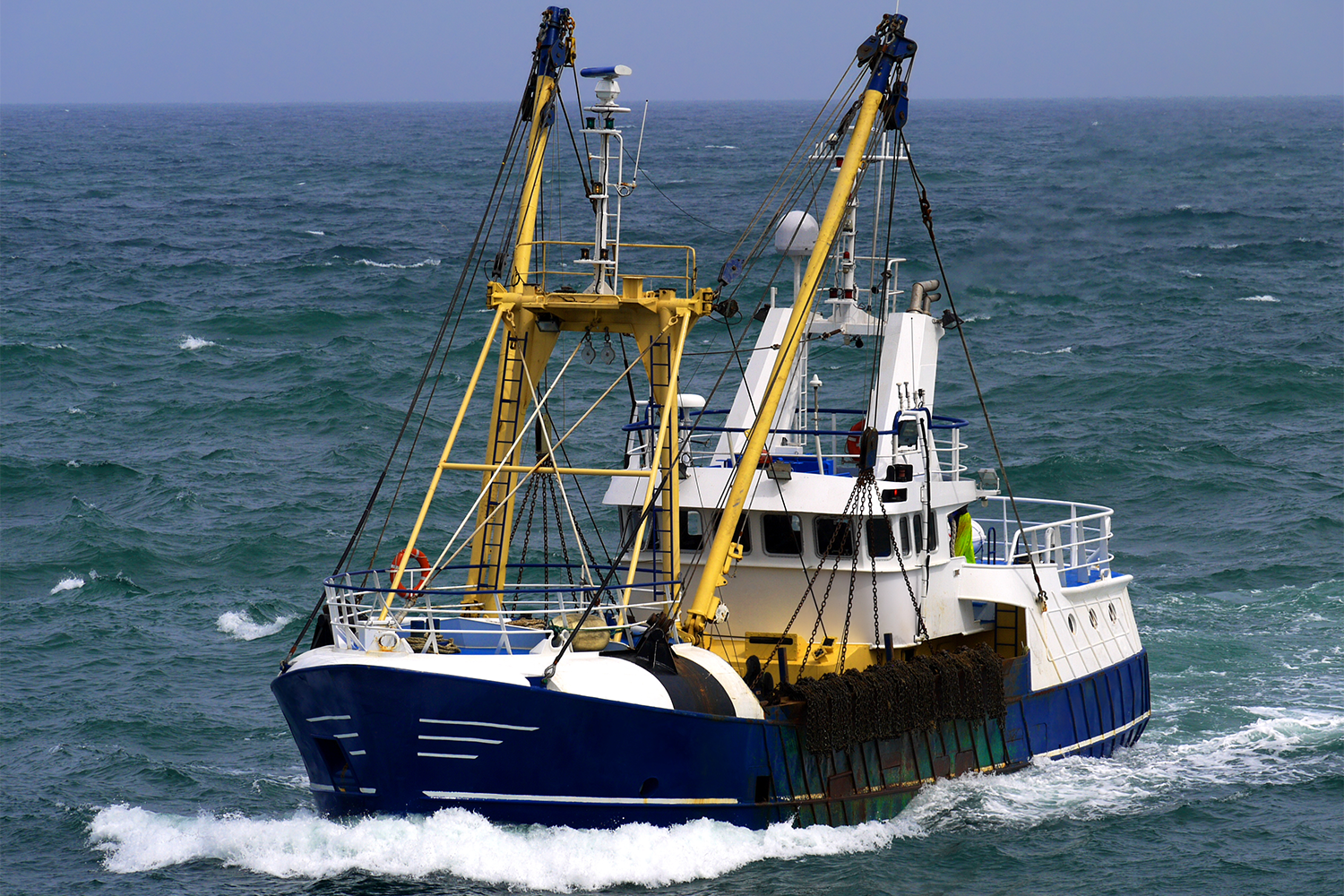 Industrial trawl fishery for B. vaillantii. Trawl fisheries in the